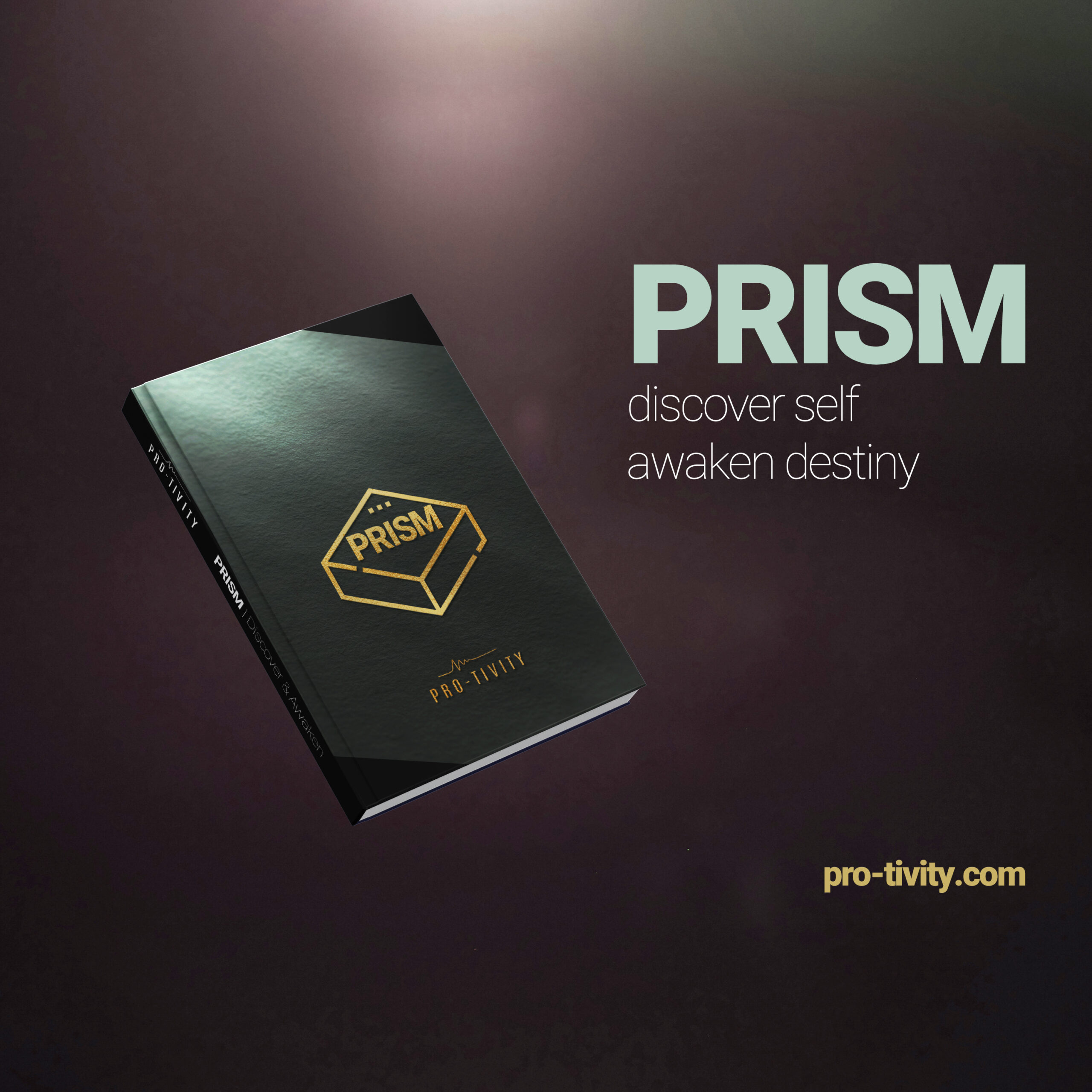 Prism web Pro-Tivity